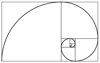 An approximation of the golden spiral created by drawing circular arcs connecting the opposite corners of squares in the Fibonacci tiling; this one uses squares of sizes 1, 1, 2, 3, 5, 8, 13, 21, and 34.Source: Wikipedia