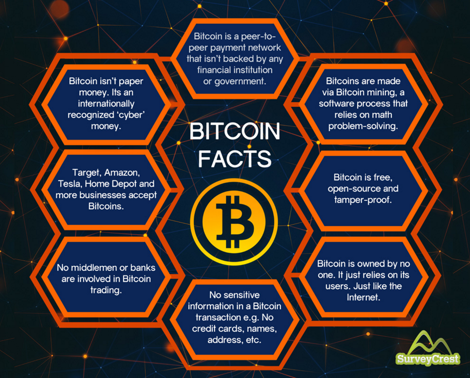 Bitcoin Facts infographic by SurveyCrest