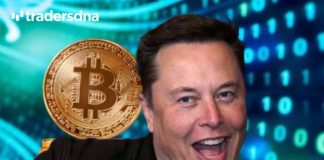 Elon Musk bitcoin, Elon Musk, Bitcoin dip, Bitcoin U-turn, Bitcoin down