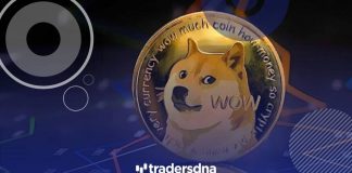 Dogecoin Price Predictions