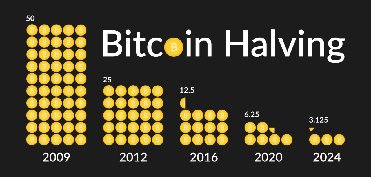 Bitcoin Halving: Insights From The CEO Of Sabre56