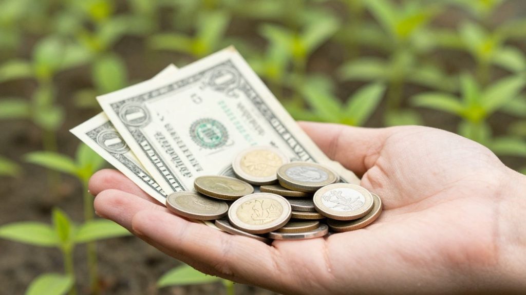 Beginner stock picks with little money growth